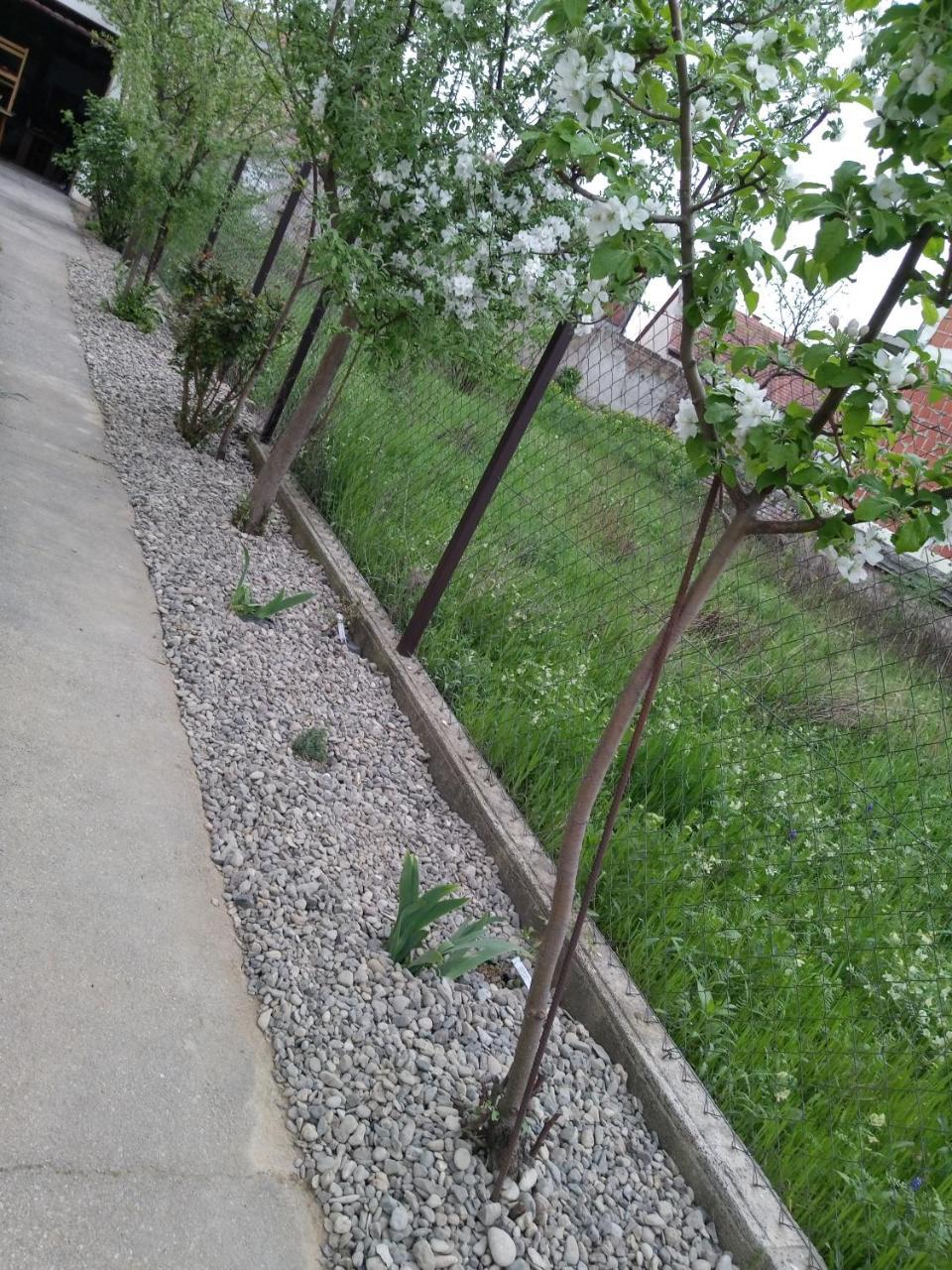 Petros Apartmani Vukovar Luaran gambar